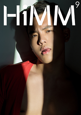 HiMM 9 [Ebook]
